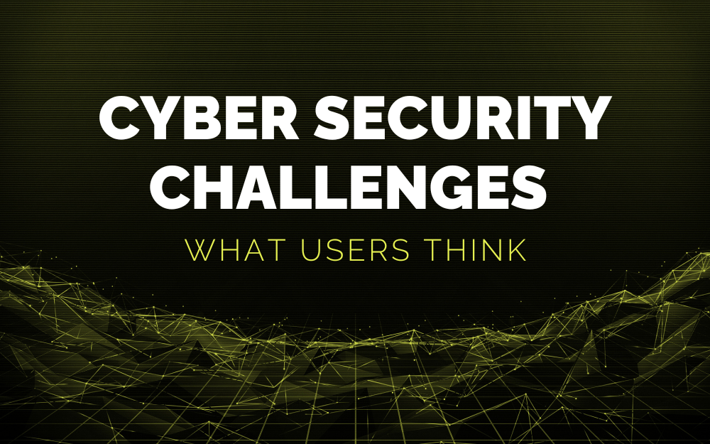 Cyber Security Challenges - What Users Think
