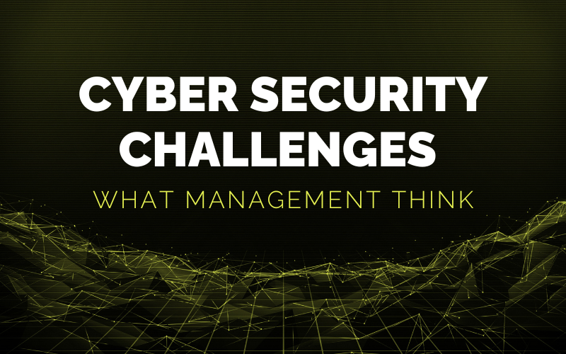 Cyber Security for Business Management Challenges